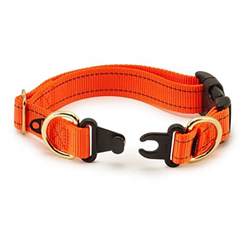 Keepsafe Break Away Dog Collar Orange Baxterboo
