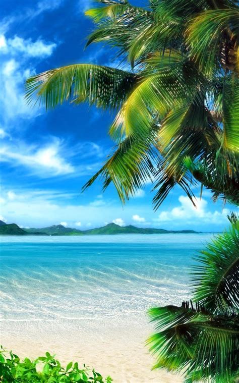 Tropical Beach Live Wallpaper App Ranking And Store Data App Annie