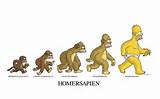 Images of Theory Of Evolution Monkeys