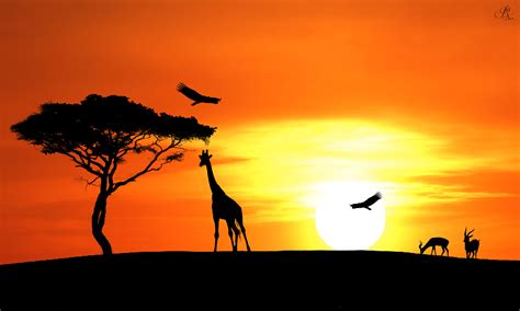 Sunset Pictures Savannah Chat African Sunset