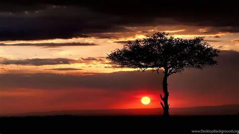 Gallery For African Savanna Sunset Wallpapers Desktop Background