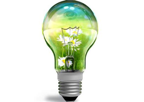 The idea bank launched in february 2021 and will be updated periodically in response to users' feedback. Alternative Eden Exotic Garden: The Idea Bank