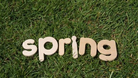 Discover The Ideal Time To Fertilize Your Lawn In Spring Gossiboo Crew