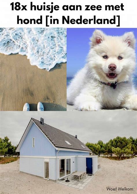 18x Huisje Aan Zee Met Hond Woef Welkom