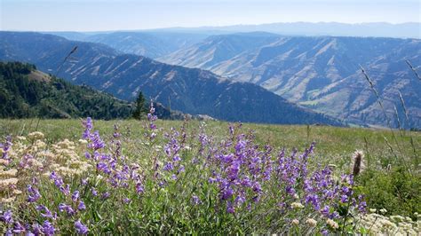 Off The Grid At Hells Canyon In Oregon Erikas Travels