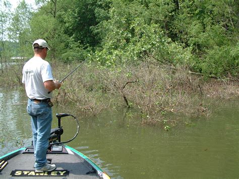 Maybe you would like to learn more about one of these? Lessons from Kentucky Lake - FLW Fishing: Articles
