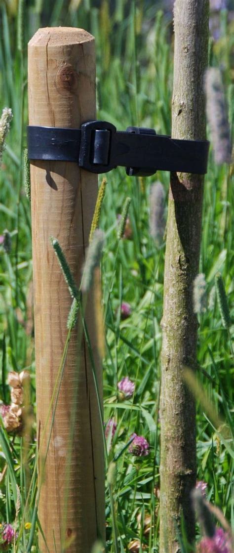 2.40m Long 60mm Diameter Tree Stake | Jacksons Fencing