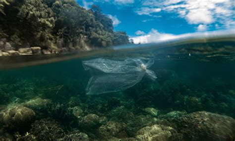 Tackling Plastic Pollution For Communities And Coral Reefs In Coastal