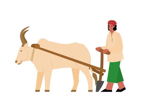 Cartoon Of Indian Farmer Illustrations Royalty Free