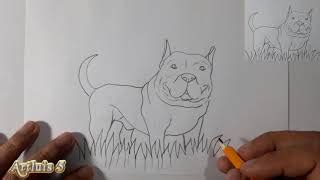 Como Dibujar Un Pitbull How To Draw A Pitbull Doovi