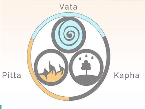 The Three Doshas According To Ayurveda Vata Kapha Pitta What Body