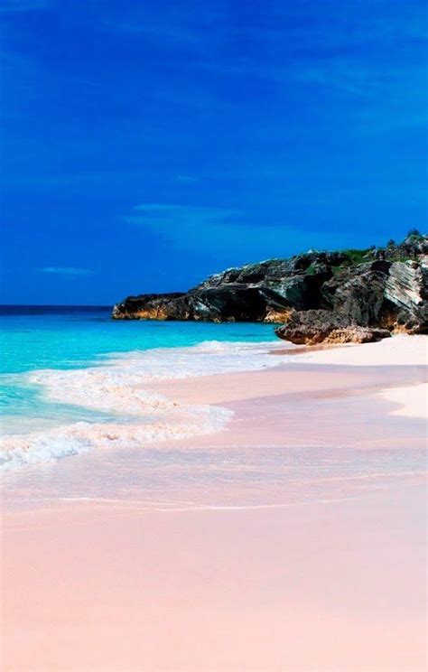 Kings Wharf Bermuda Pink Sand Beaches Yes They Exist Up Your Weekend Adventures And