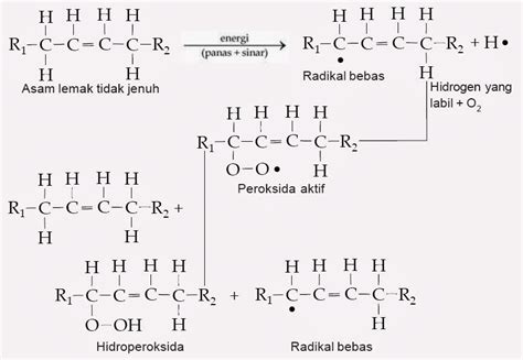 Sifat Fisika Dan Kimia Lemak Kimia