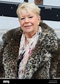Laila morse hi-res stock photography and images - Alamy
