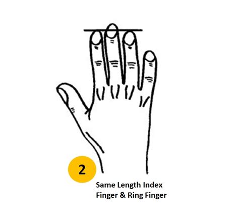 Personality Test Your Finger Length Reveals These Personality Traits