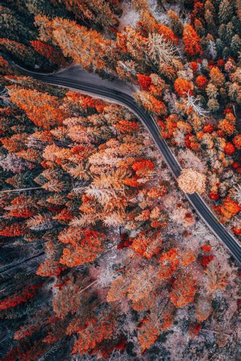 By steve perry | published october 3, 2020. Pin by Mint Arrow on Aerial / map | Fall wallpaper, Autumn ...