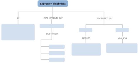 Imagenes De Un Mapa Conceptual En Blanco