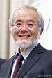 Yoshinori Ohsumi wins Nobel Prize in Physiology or Medicine - Nippon ...
