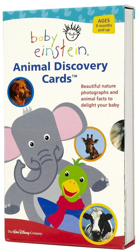 Maybe you would like to learn more about one of these? Baby Einstein: Animal Discovery Cards | Everly Rose | Pinterest | Babies and Diapers