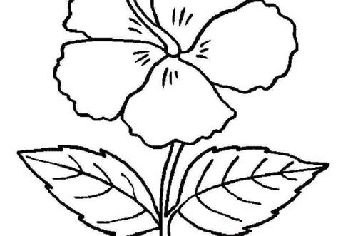 Keren 30 Gambar Bunga Untuk Digambar 100 Contoh Sketsa Bunga Yang