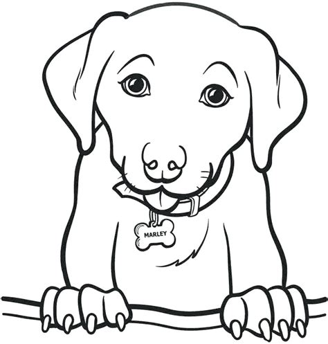Golden Retriever Coloring Pages Best Coloring Pages For Kids