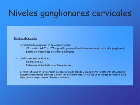 Ppt Anatomía Cervical Powerpoint Presentation Free Download Id903406
