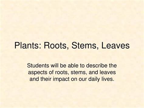 Ppt Plants Roots Stems Leaves Powerpoint Presentation Free