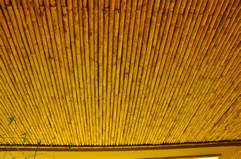Tamarindo Costa Rica Daily Photo Bamboo Ceiling