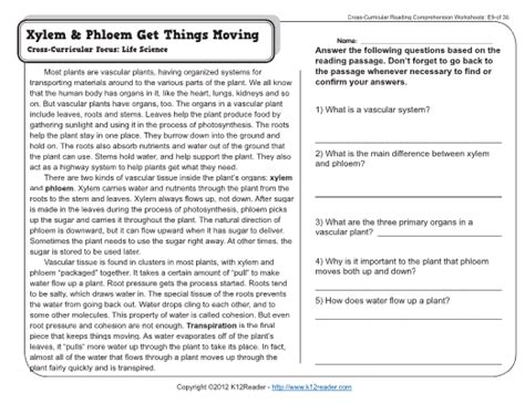 Reading comprehension for 9th grade. 9th Grade Reading Comprehension Worksheets With Answers