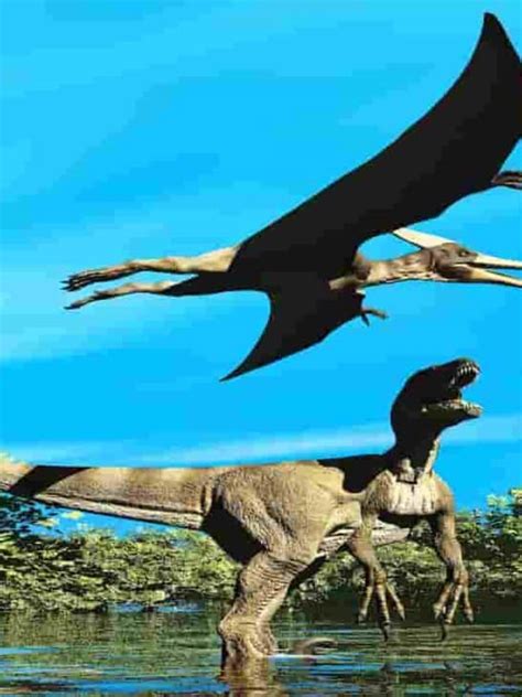 Which Omnivore Dinosaur Was The Biggest Adventure Dinosaurs