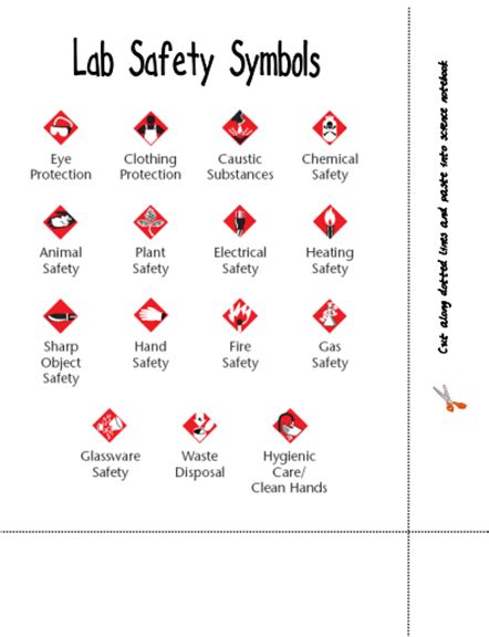 Science labs, particularly chemistry labs, have a lot of safety signs. Here's a page identifying lab safety symbols. | Science ...
