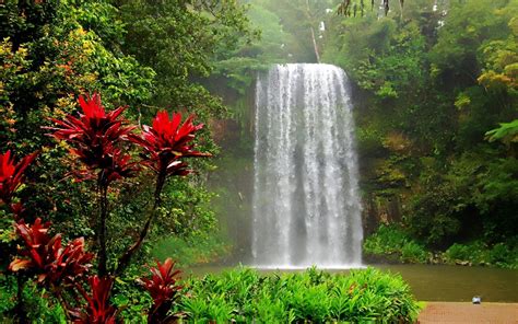 Tropical Waterfall