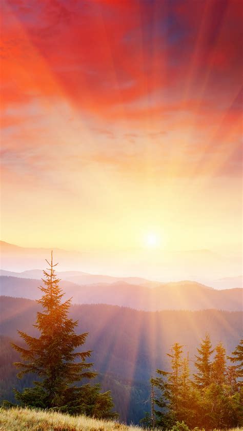 Bright Sunshine Wallpaper Free Iphone Wallpapers