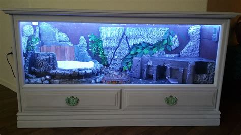 See more ideas about bearded dragon, bearded dragon enclosure, bearded dragon cage. Diy Reptile Enclosure 20 - meowlogy