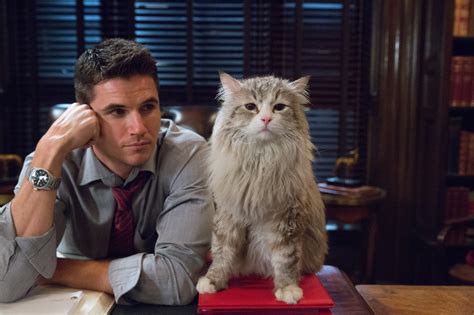 Streaming library with thousands of tv episodes and movies. Manila Life: Casting talented cats as Mr. Fuzzypants in ...
