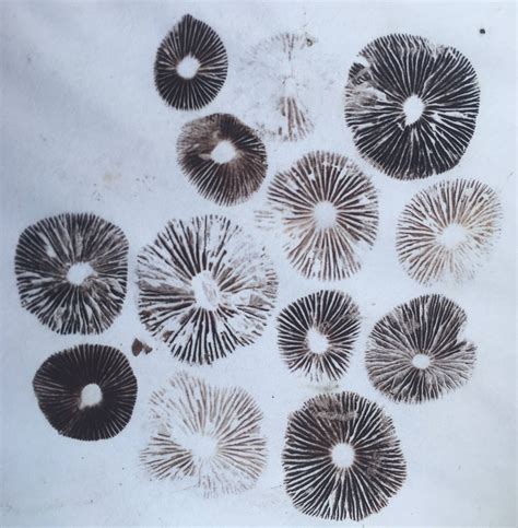 Uk Id Request South East London Photos And New Spore Print