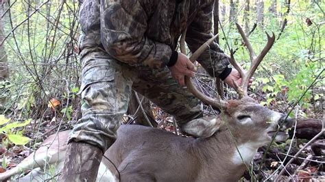 Deer Hunting Video Wnya Michigan Sportsman Online Michigan