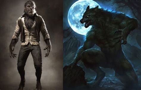 Get To Know 8 Best Human To Werewolf Transformation Stories Dreame