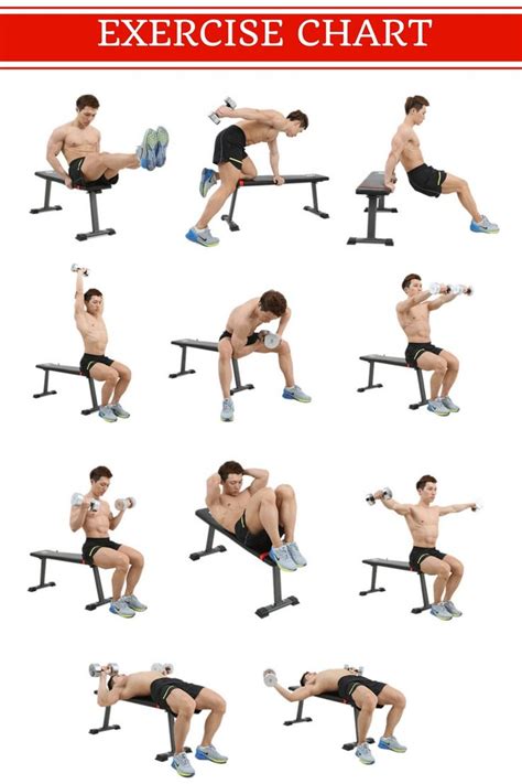 Get Great Muscle Building Workout At Home With A Help Of A Weight Bench
