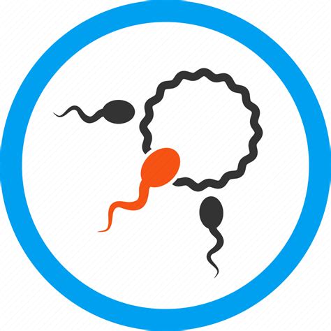 Fertility Fertilization Insemination Ovary Ovum Penetration