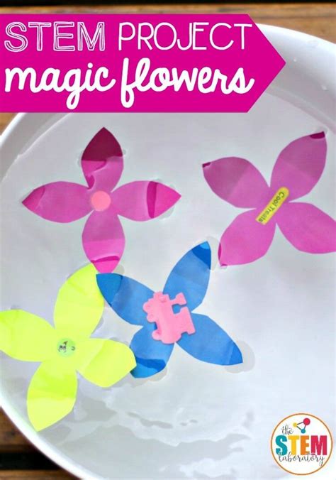 Magic Blooming Flower Kids Stem Activity The Stem Laboratory