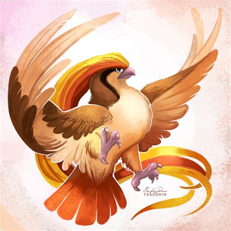 018 Pidgeot By Tsaoshin On Deviantart