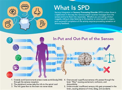 Signs Of Sensory Processing Disorder Infographic Sens