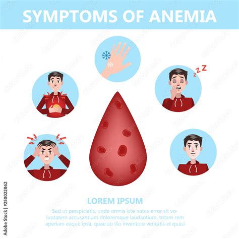 Anemia Symptoms Infographic Blood Disease Idea Of Health Stock Vector