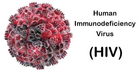 Without treatment, average survival time after infection with hiv is estimated to b. Human Immunodeficiency Virus (HIV) | Virology | The ...