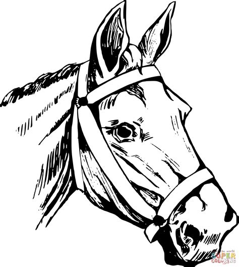 Horse Head Coloring Pages Printable