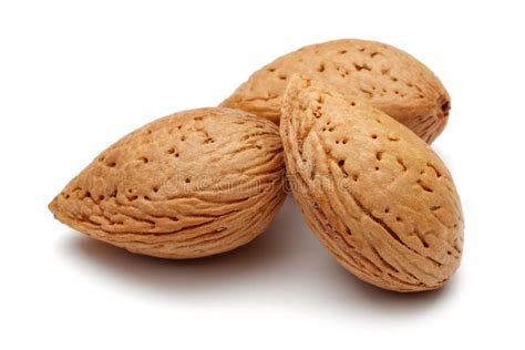 Group Of Almonds Isolated On White Stock Photo Image Of Object