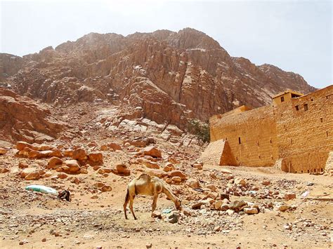 Mount Sinai Worldatlas