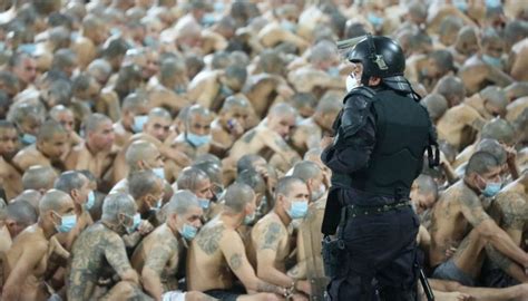 Shocking Images Show El Salvador Prisoners Crammed Together In Lockdown Newshub
