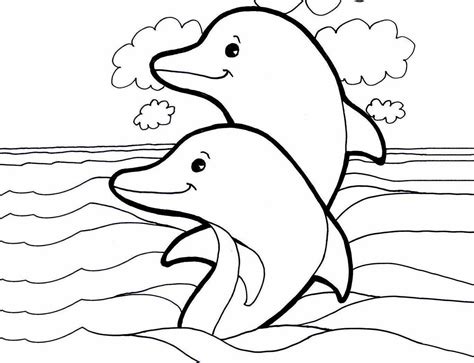 Free Dolphin Drawing Pictures Download Free Dolphin Drawing Pictures